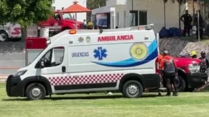 Lda Noticia 295