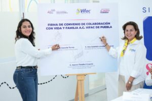 Lda Noticia 339