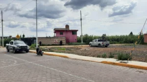 Lda Noticia 297